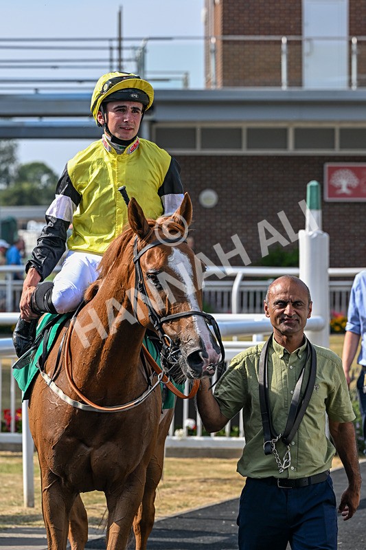 160726-Race 6-Capital Guarantee-5240 - Race 6 16.45pm Thirsk Sky Bet Summer Festival Day Friday 24th July Handicap