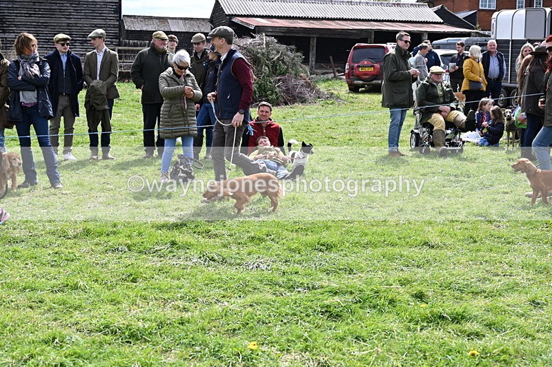 WJ6_8259 - Class 4 Prettiest Bitch