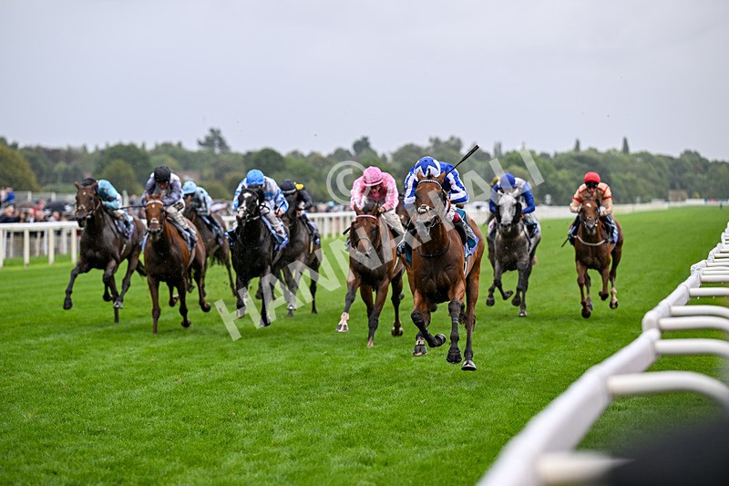 200826-Race 3-The Lost King-3360 - Race 3 15.00pm Sir Kevin Sinfield 7 In 7 Grand Finale Handicap