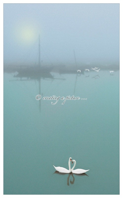 Love Birds - Creative