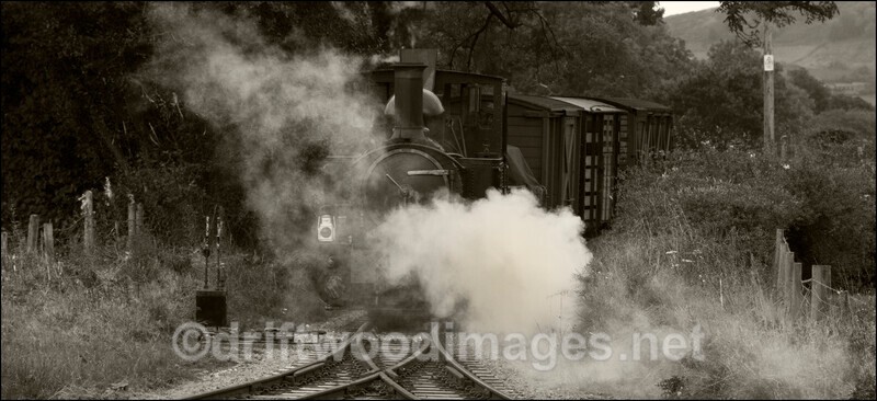 WLLR The Earl approaches Cyfronydd Station - The Welshpool & Llanfair Light Railway