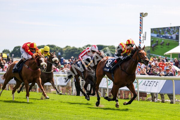 yr08072022r2-16 - Race 2 2.40pm William Hill Summer Stakes