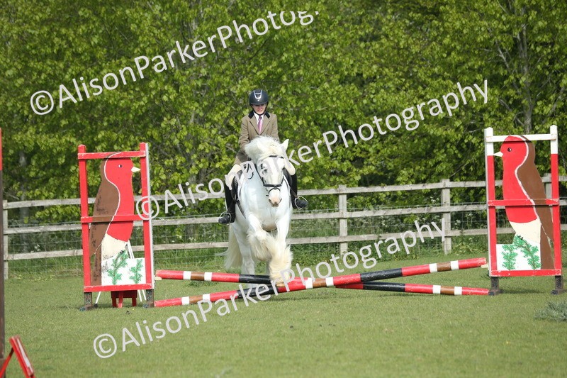 20260426-0136 - Class 13 - Rookie Jumping 50cm