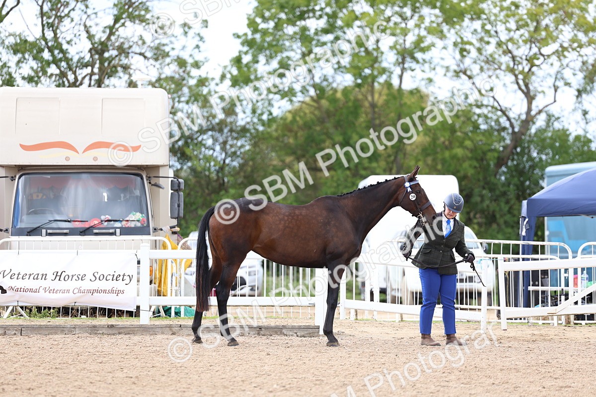 SBM_15273 - Class 313 - IH Retired Racehorse