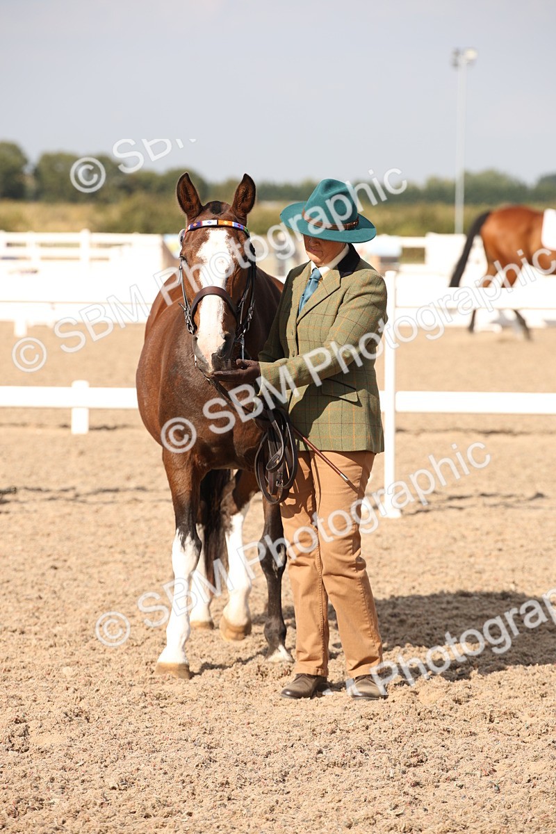 SBM_07428 - Class 26 IH Foreign Breeds -Part bred