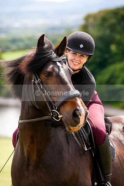  - Equine Gallery Portfolio