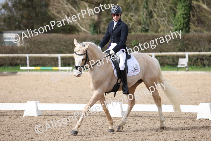 20260301-0637 - Class 4 - Novice 5