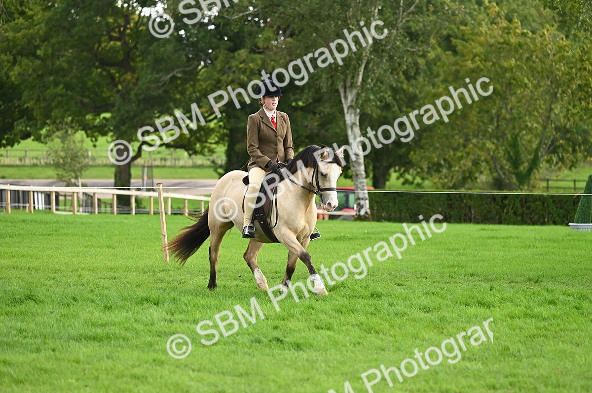SBM_26605 - S7 - Novice & Newcomer Ridden Pony