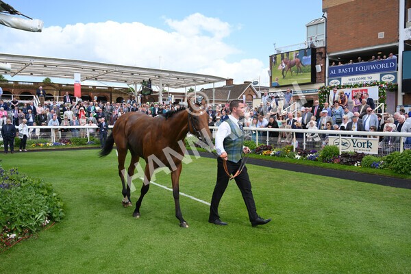 yr10062022r2-52 - Race 2 2.30pm SKF Rous Selling Stakes