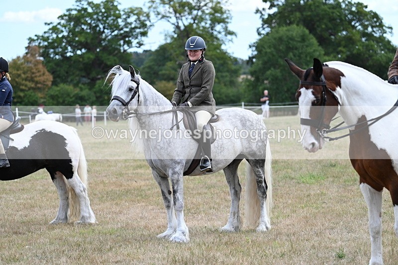 WJ7_5507 - Class 12 Ridden Cob