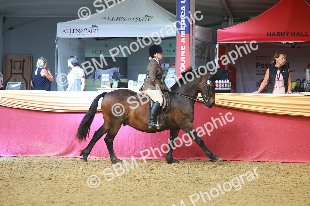 SBM_10538 - Class 103 - HOYS Veteran Qualifier - Ridden Pre Vet