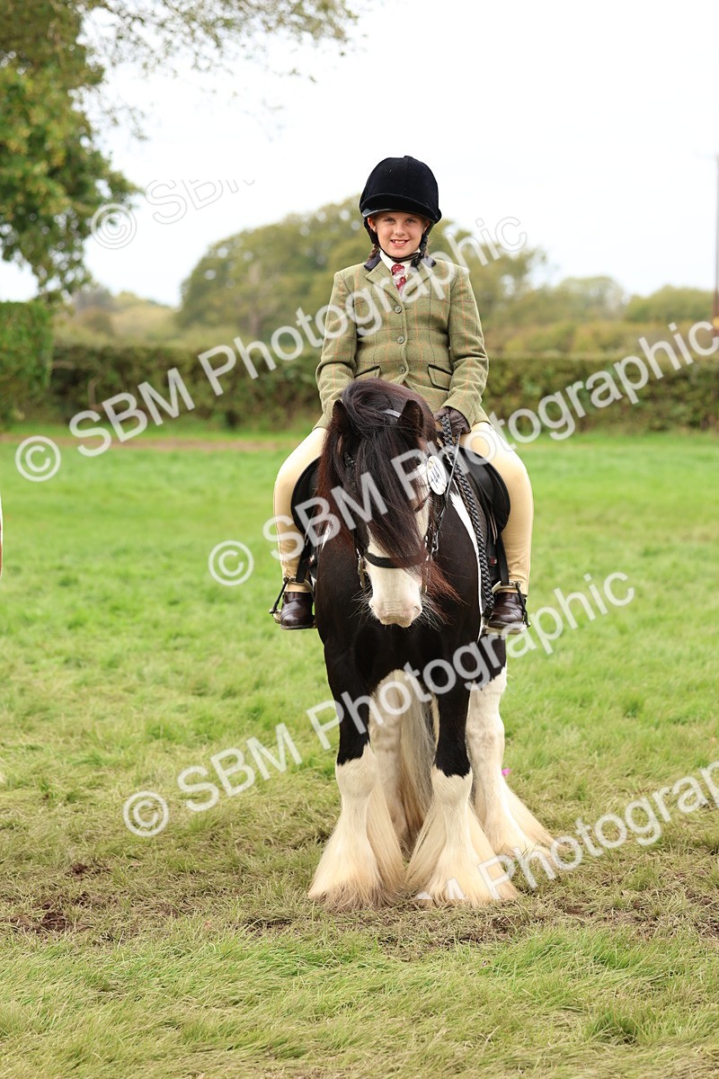 SBM_64468 - S58 - Coloured Pony Ridden