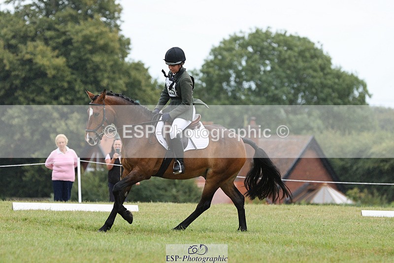 240824X-124028-27140 - D80 Section G and H 12.00 to 13.30