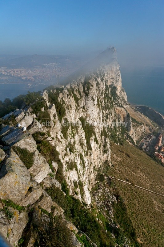 YR6M8492  (RM) - Worldwide