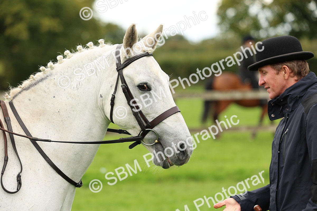 SBM_45349 - S33 - Working Hunter Pony