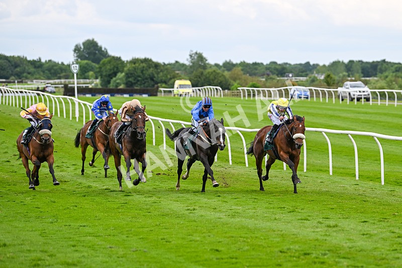 180624-Race 4-Animate-0421 - Race 4