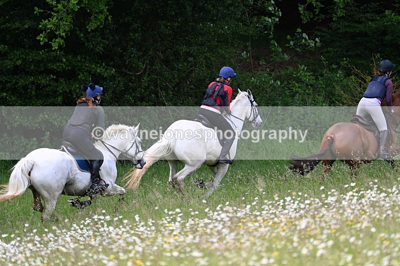 WJ7_8557 - Group 1 10am