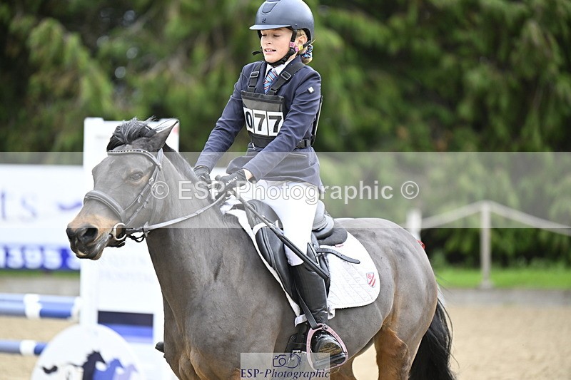 251005A-122629-03778 - Cls 08 Mini 70-75cm