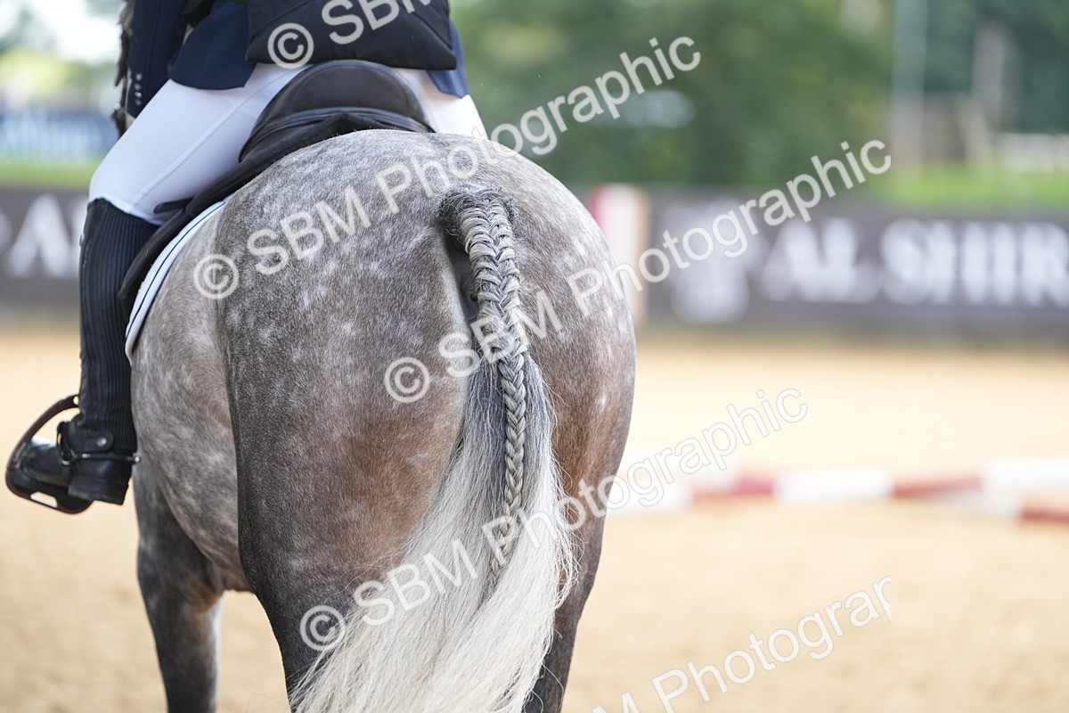SBM_64446 - J2 - Mini Tour Junior Pony 30cm Championship