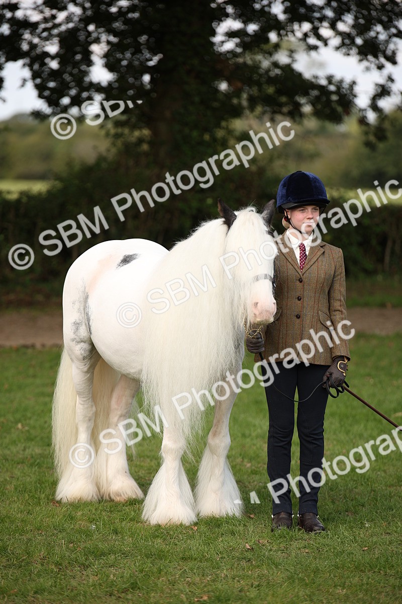 SBM_62296 - S55 - Traditional Cob In Hand