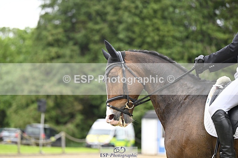 000101-213823-04378 - 407-REHY_REVELATION-Jack_Pinkney