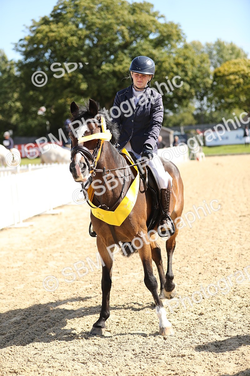 SBM_04785 - J28 - Senior Horse & Pony 60cm Championships