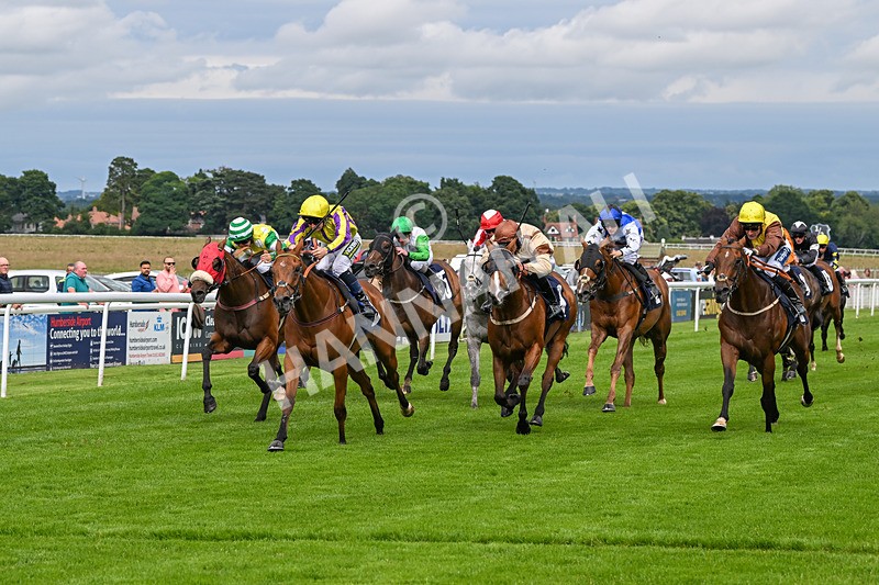 160724-Race 4-Jack Of Clubs-8991 - Race 4