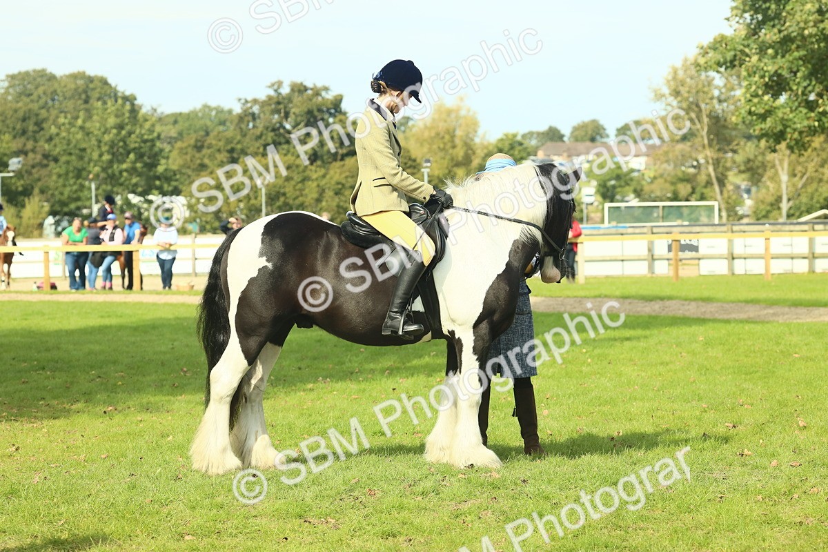 SBM_68961 - S58 - Mini Show Cob Ridden