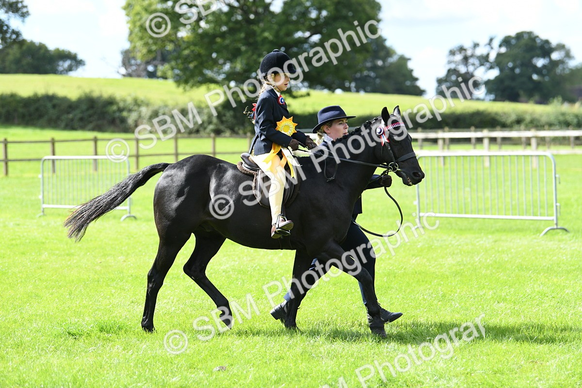 SBM_41284 - S19 - Lead Rein Show & Show Hunter Pony