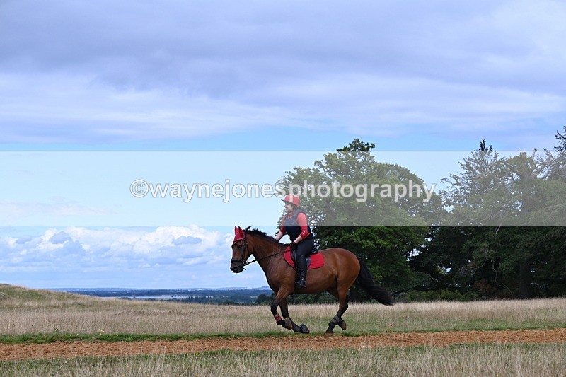 DSC_8873 - Time at Statue 14:33 to 15:10