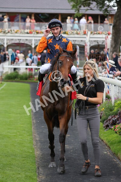yr19082021r2-36 - Race 2 2.25pm Goffs UK Premier Yearling Stakes