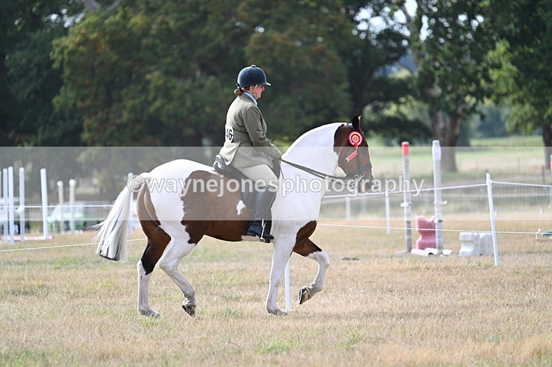 WJ7_7710 - Ridden Championship