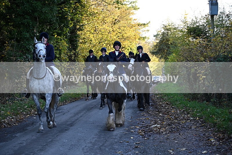 WJ6_9772 - Walk Home