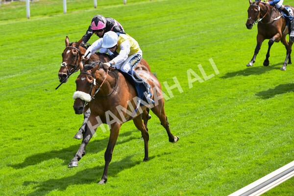 yr08072022r1 -25 - Race 1 2.05pm William Hill Best Odds Guaranteed Handicap Stakes