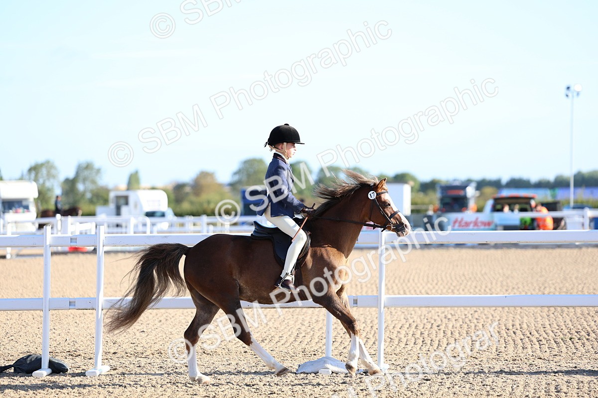 SBM_07801 - Class 301 - Ridden M&M - Small Breeds
