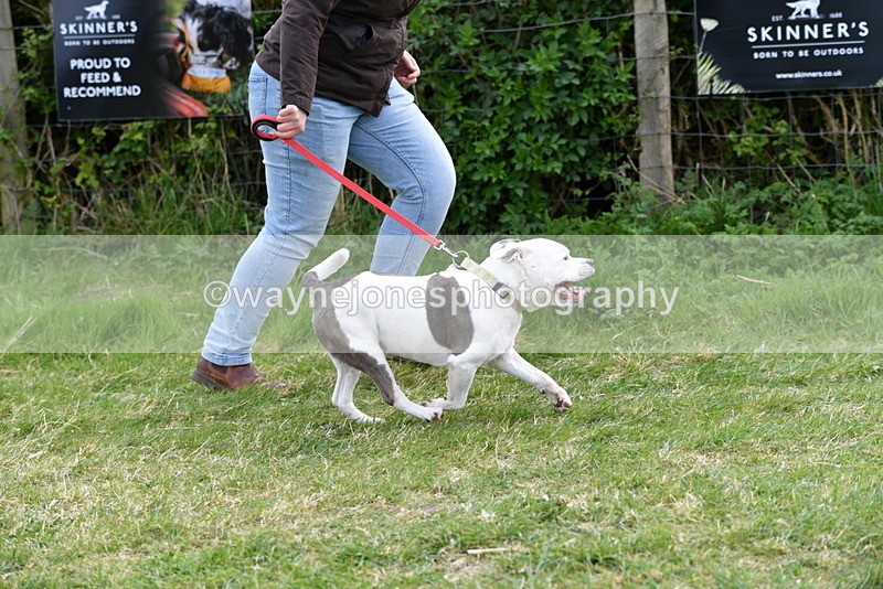 WJ5_9965 - Class 5 Best Veteran / 7 years & over