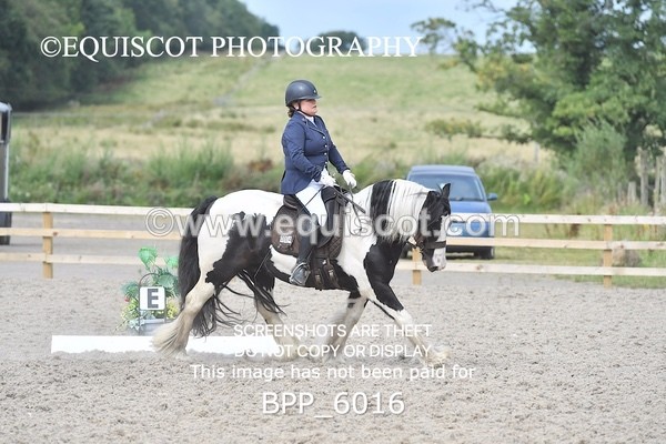 BPP_6016 - PRELIM TEST 5 LONG ARENA