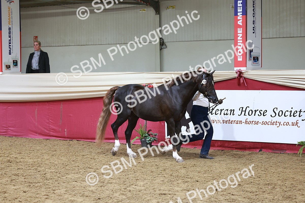 SBM_17439 - Class 951 - M&M IH Supreme Final