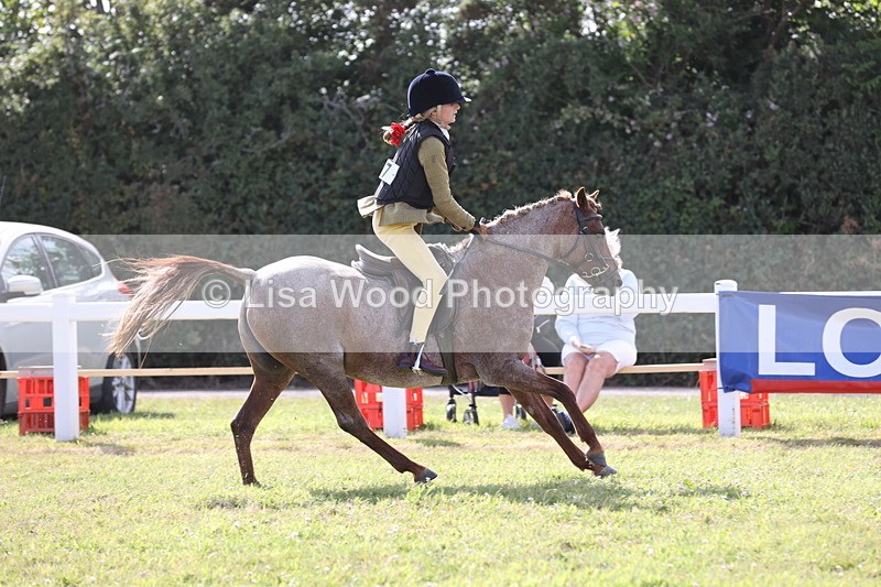 JPP_2844 - Class 20: Working Hunter 70cm