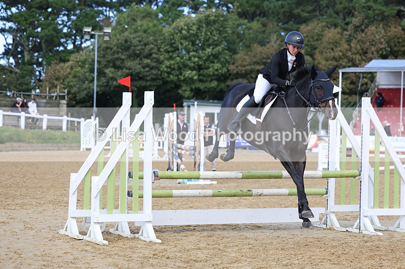 3E7A9213 - Class 9: Senior British Novice/90cm open