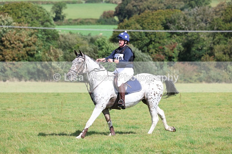 3E7A6638 - Class 1: Trebudannon Open: Pheasant Feeder