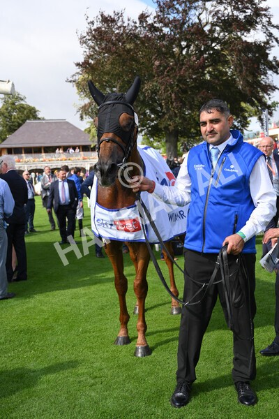 yr18082021r3-112 - Race 3 3.00pm Sky Bet Great Voltigeur Stakes