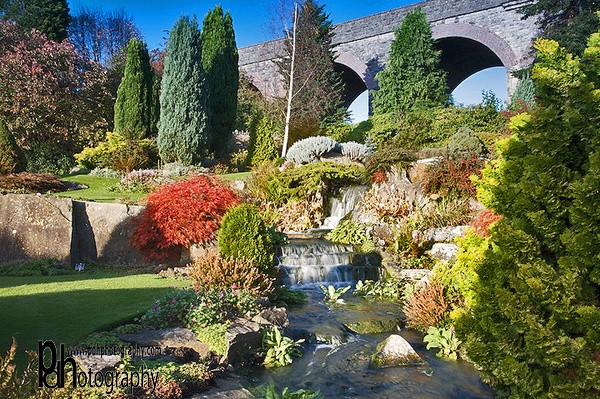 Kilver-Gardens SM-1_4040 - Mendips