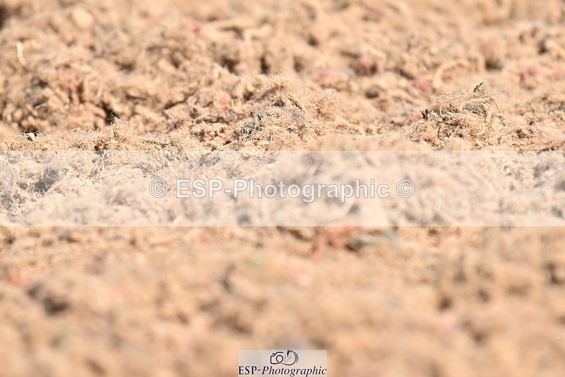 240621A-104531-01440 - Cls 4 BD Novice 22