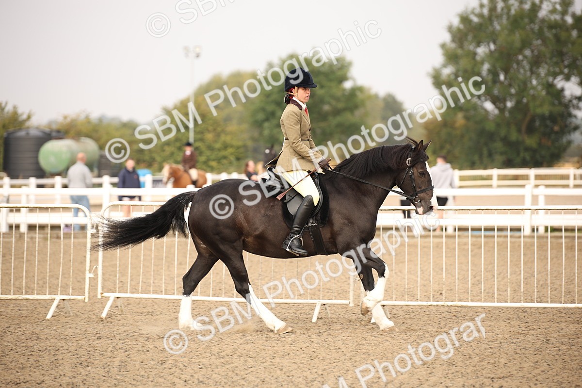 SBM_09764 - Class 401 Riding Club Pony