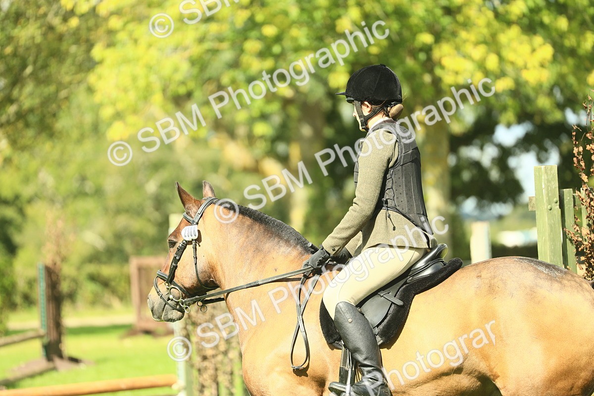 SBM_42092 - S29 - Novice & Newcomers Working Hunter Pony