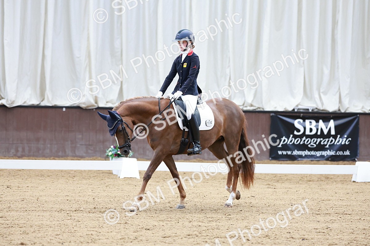 SBM_017182 - Class15 - FEI Pony