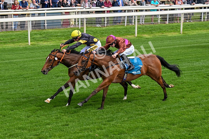 120626-Race 4-Big Negotiator-0241 - Race 4 15.35pm Juddmonte EBF Fillies' Restricted Novice