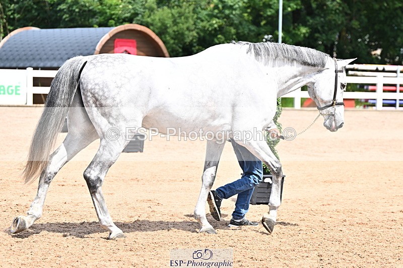 240718A-105258-01383 - Trot Up 12pm to 1pm