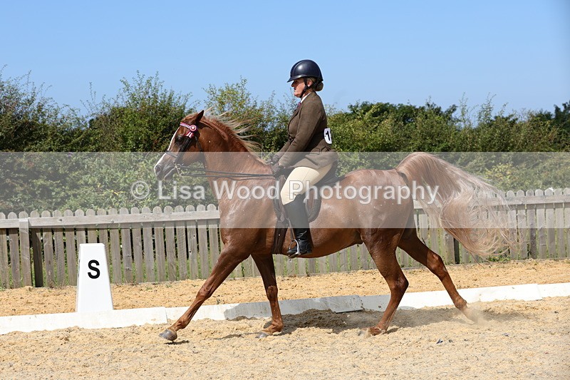 1X9A8365 - Class 13: Arab Ridden